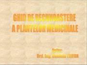 Ghid de recunoastere a plantelor medicinale - Cei pasionati de culegerea plantelor - CARTI IN LIMBA ROMANA